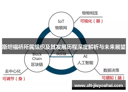 斯坦福桥所属组织及其发展历程深度解析与未来展望 斯坦福桥所属组织及其发展历程深度解析与未来展望